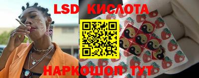 СК Конаково