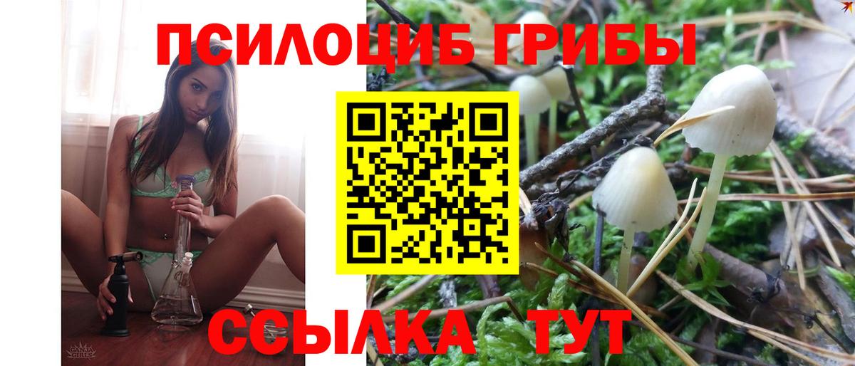 Кинешма  Псилоцибиновые грибы мухоморы  купить наркоту  Галлюциногенные грибы GOLDEN TEACHER  Вход с VPN 