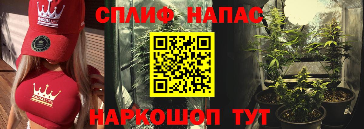 Конопля конопля  Бошки Шишки план  Кинешма  Марихуана гибрид  Вход с VPN 
